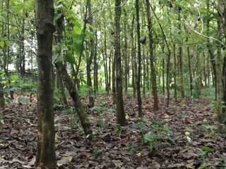 TANAH PADAT RATA DI CURUG TANGERANG