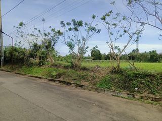 3.3 Hectares CORNER LOT in Bgy. Anuling Lejos 1, Mendez boundary Tagaytay for SALE! TITLED at P 4,500 per sqm