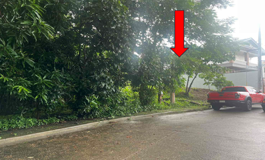 Vacant Lot for Sale at Palos Verdes Executive Village, Antipolo City