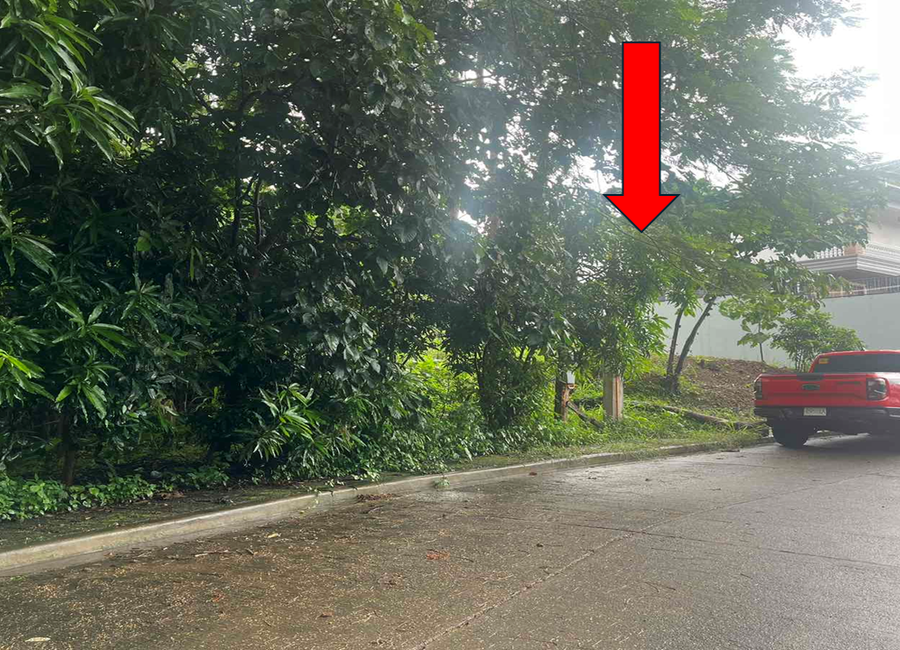 Washington Avenue, Palos Verdes Subdivision, Santa Cruz, Antipolo, Rizal