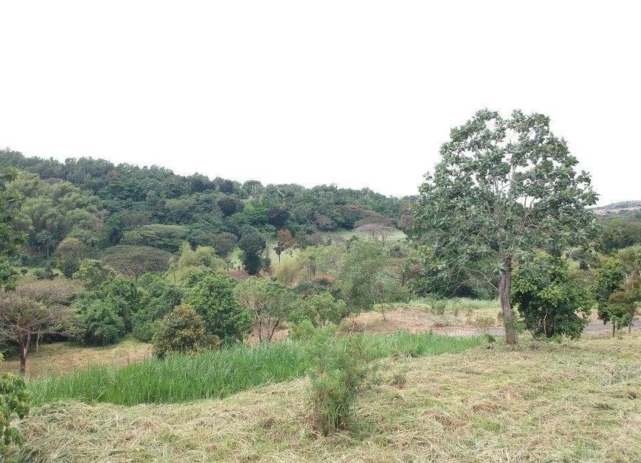 Forest Hills Avenue, Inarawan, Antipolo, Rizal image 2