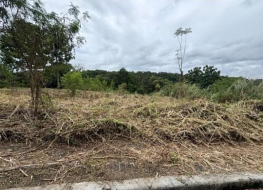 Forest Hills Avenue, Inarawan, Antipolo, Rizal image 3