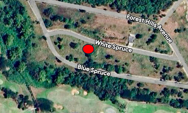 Vacant Lot for SALE at Forrest Hills Golf and Country Club (Eastland Heights)