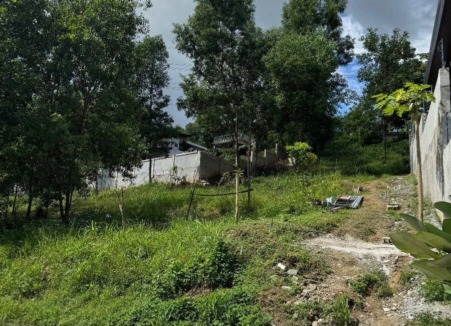 Antipolo, Rizal image 2