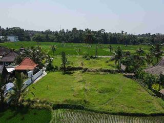 Termurah, Tanah Kavling di Ubud  Bali