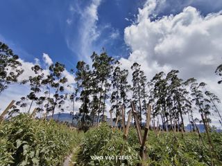 Dijual Tanah Datar View Pegunungan Pangalengan