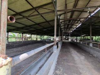 Dijual kandang sapi siap pakai di bogor