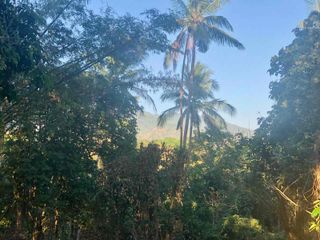 Beautiful Raw Farmlot in Lipa Near Seventh Heaven & The Farm at San Benito