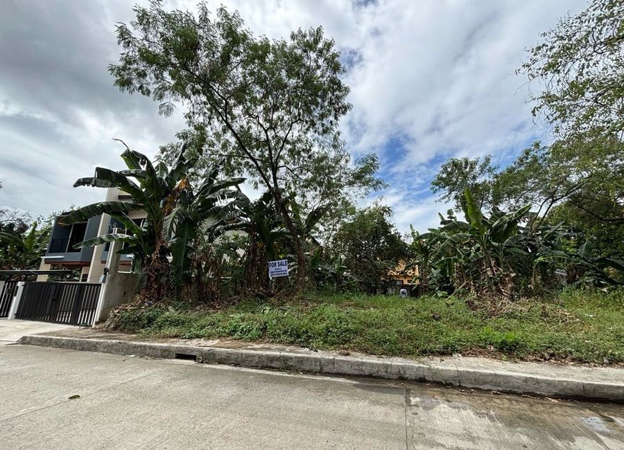 Waling-Waling Street, Antipolo Valley, Mambugan, Antipolo, Rizal image 2