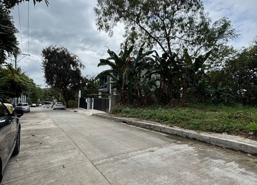 Waling-Waling Street, Antipolo Valley, Mambugan, Antipolo, Rizal image 3