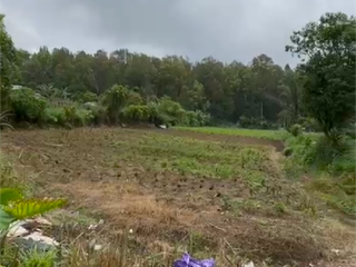 JUAL TANAH DI KAWASAN WISATA BEDUGUL