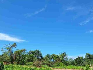 1.800.000/meter tanah premium di lokasi paling dicari!