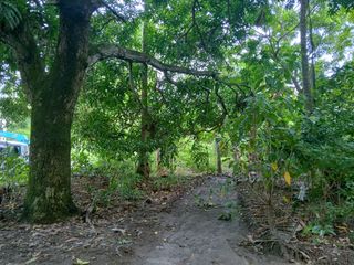 SMALL LOT FOR SALE IN DAUIN ID 15062