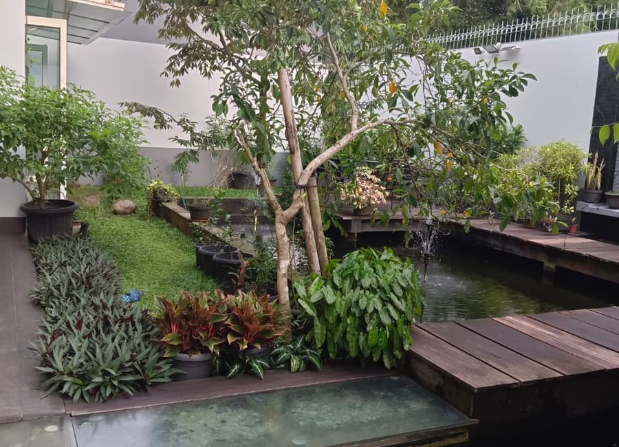 place photo 18
