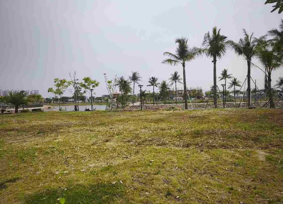 place photo 1