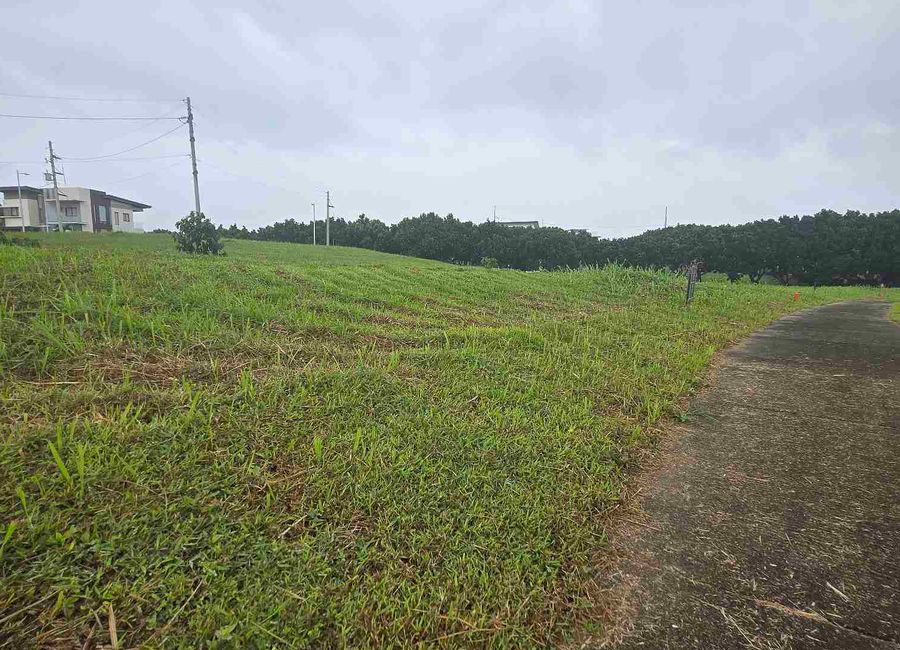 Marathon Drive, Venare, Canlubang, Calamba, Laguna