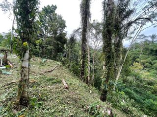FOR SALE DIJUAL LAHAN Lokasi Desa Timbul Tampaksiring Ubud Gianyar