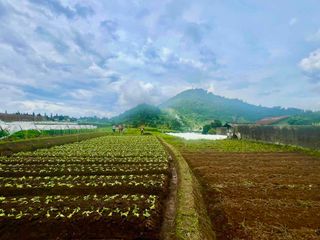 Tanah pinggir jalan utama di Cianjur