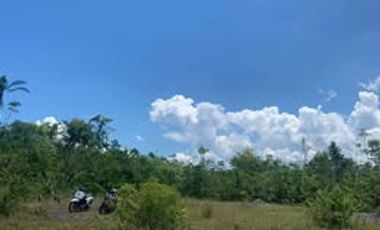 Dauis, Bohol 110 Hectares Lot for Sale