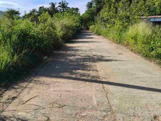Farm Lot in Busuanga