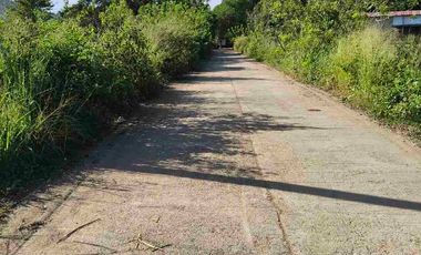Farm Lot in Busuanga