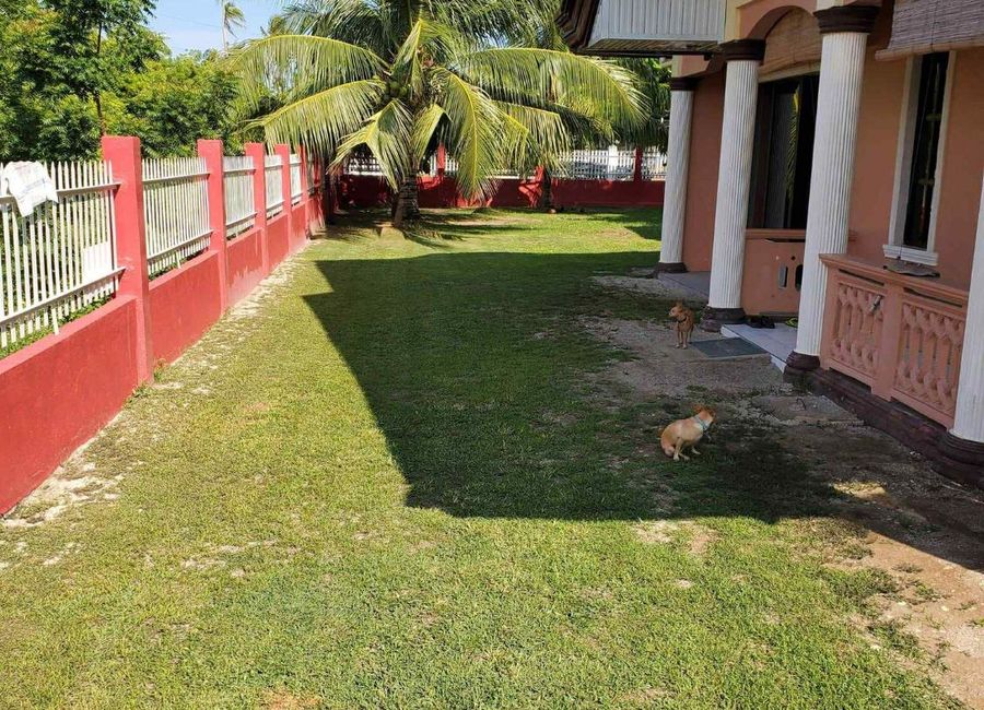 place photo 9