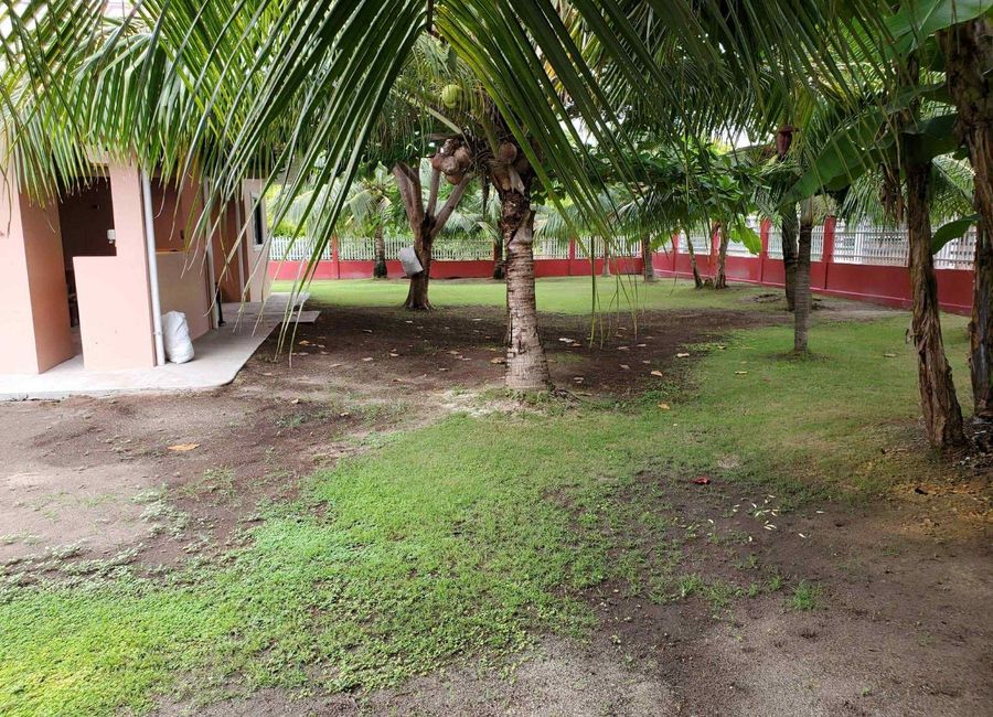 place photo 27