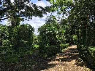 1,368 sqm Vacant Agricultural Lot in Kaytitinga 1 Alfonso Cavite