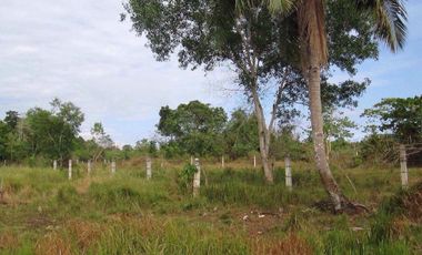 Near Panglao Airport, Along the Road Lot for Sale