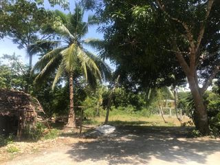 Panglao Adjacent Lots for Sale - 952 sqm and 592 sqm