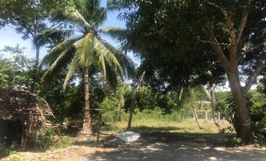 Panglao Adjacent Lots for Sale - 952 sqm and 592 sqm
