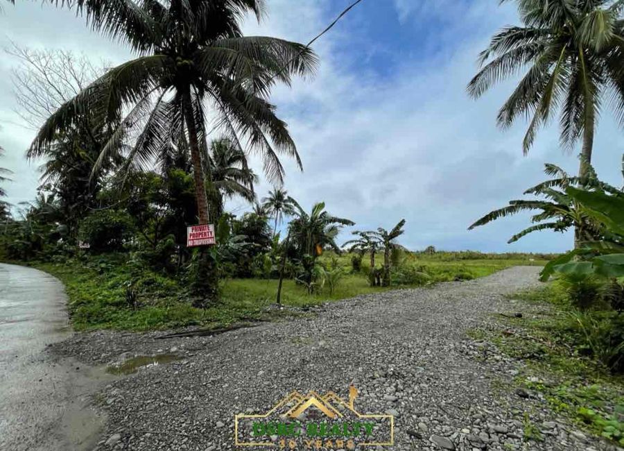 Visayan Village, Dinahican, Infanta, Quezon