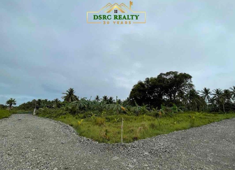 Visayan Village, Dinahican, Infanta, Quezon image 2