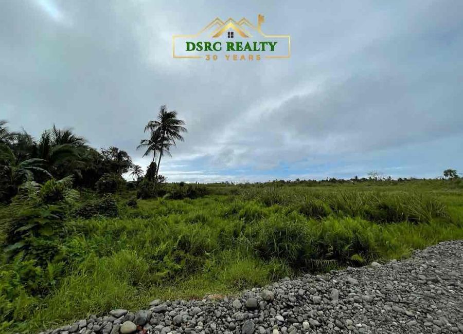 Visayan Village, Dinahican, Infanta, Quezon image 3
