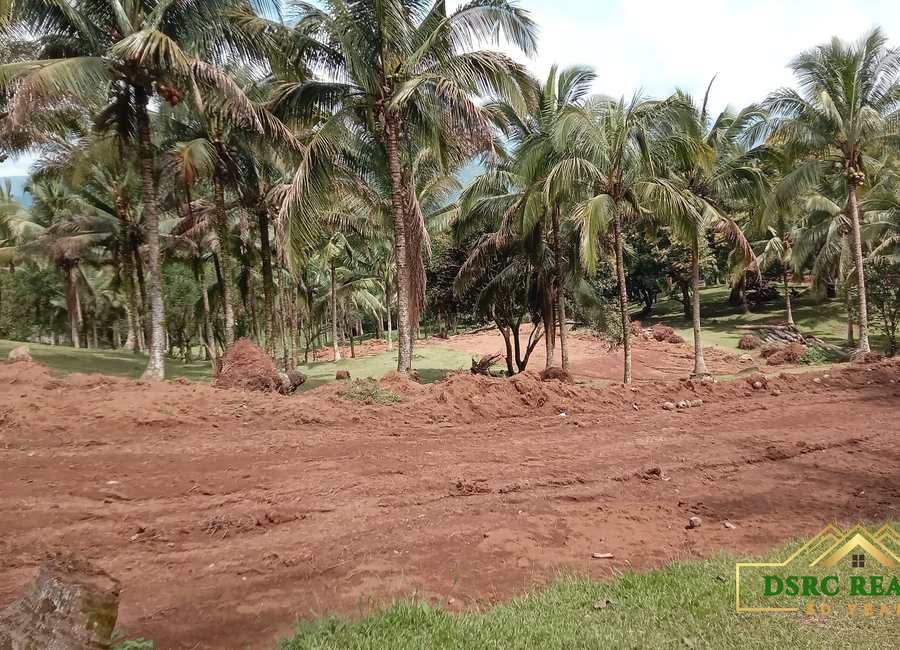 PRIME RESIDENTIAL LOT FOR SALE IN TANAY RIZAL | Lamudi.com.ph