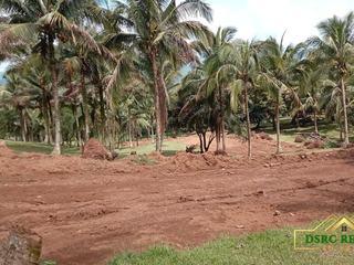 PRIME RESIDENTIAL LOTS FOR SALE IN BIRMINGHAM HEIGHTS SAMPALOC  TANAY RIZAL