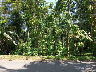 Tanah Darat Siap Bangun Rumah dan Berkebun di Wangon Banyumas