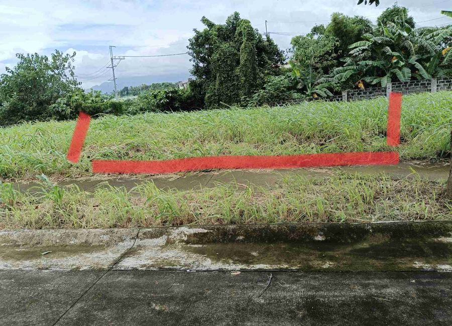 Hillcrest Estates, Canlubang, Calamba, Laguna image 2