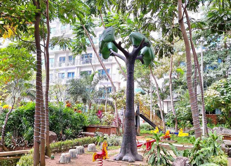 place photo 21