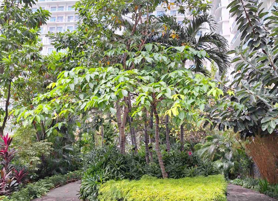 place photo 22