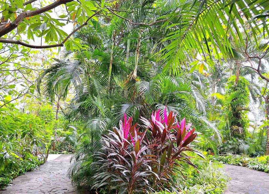 place photo 23