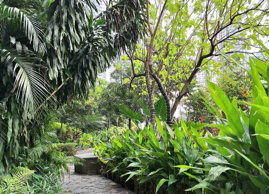 place photo 24