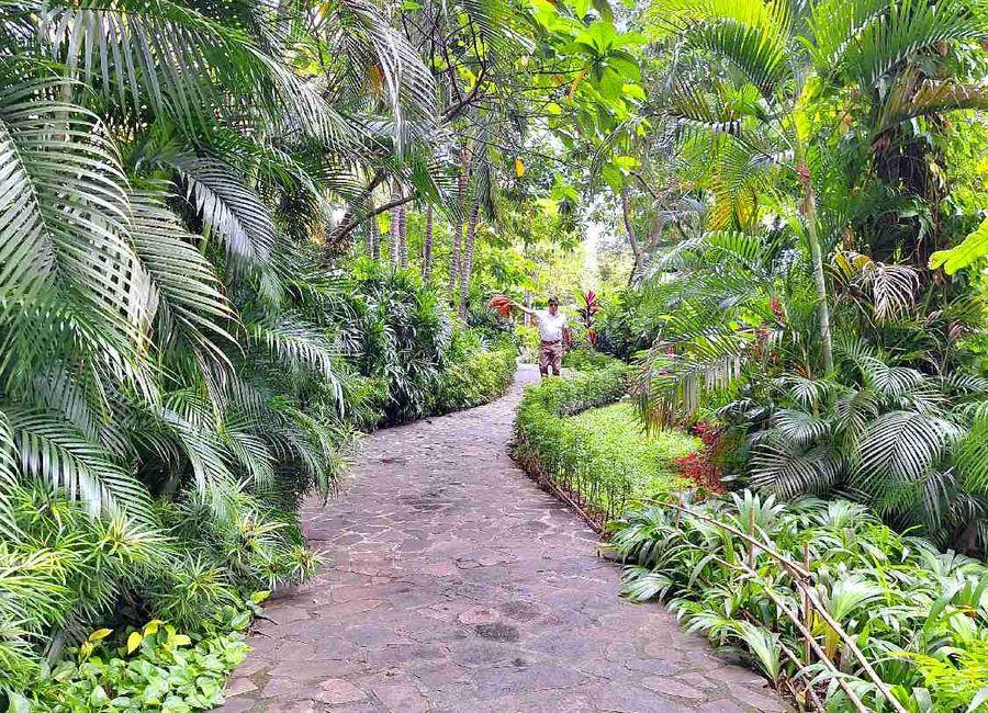 place photo 28