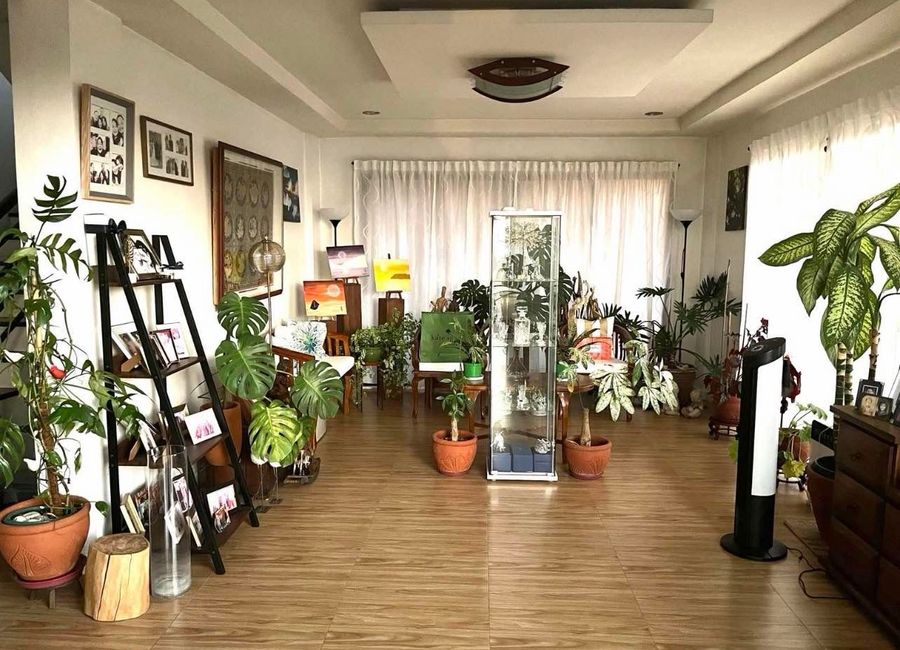 Beverly Hills Drive, Beverly Hills, Antipolo, Rizal image 2