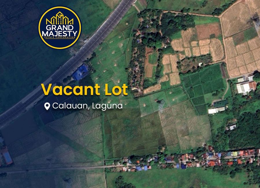 G. Medel Street, Poblacion, Kanluran, Prinza, Calauan, Laguna