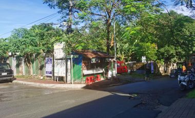 Prime 841 sqm Commercial Corner Lot for Sale in Caloocan