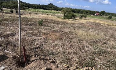 Prime 1,500 sqm Lot for Sale in Brgy. Quilitisan, Calatagan Batangas near Lago de Oro