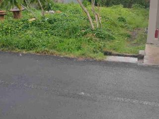 dijual tanah komersil buluh indah denpassr
