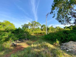 RUSH LOT FOR SALE| 777 sqm in PANGLAO ISLAND, BOHOL