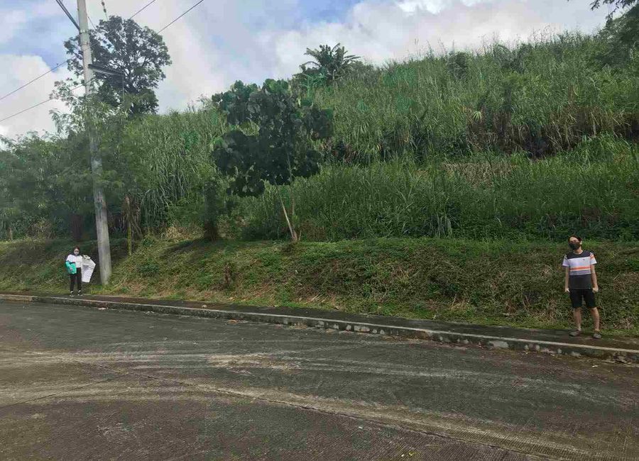 Blue Ash, Lower Tulakin, Bagong Nayon, Antipolo, Rizal